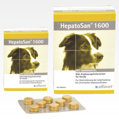 ヘパトサン 1600　32錠、120錠 /肝臓_犬